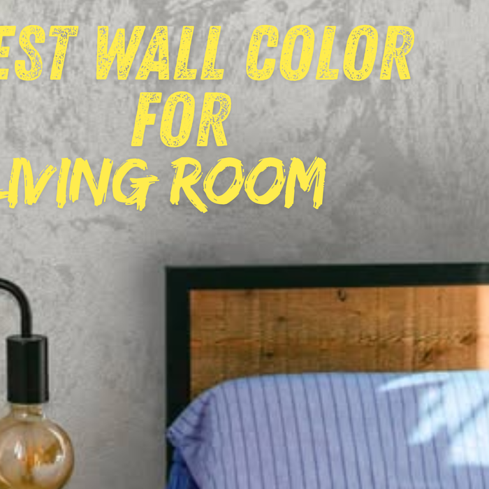 What-Is-the-Best-Wall-Color-for-a-Living-Room-in-2026 The Decora Company