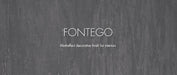 FONTEGO - Matte Finish Metallic Decorative Paint with Subtle Sand Texture by San Marco - The Decora Company