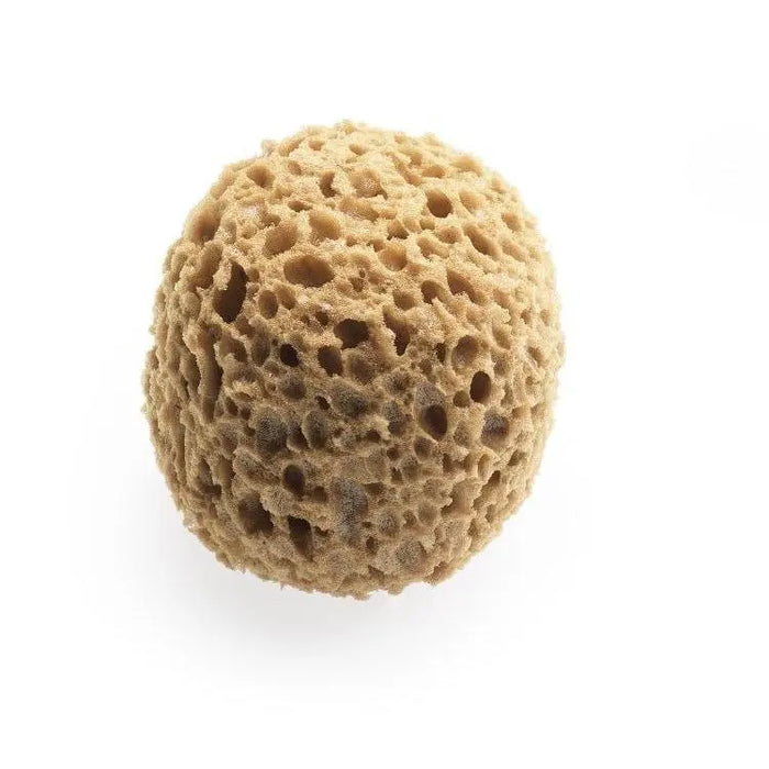 Pennelli Tigre Professional Round Synthetic Decorating Sponge - The Decora Company paint, paint brushes, paint roller, paint and roller, texture paint roller, brush of paint, paint and brush, paint brush for walls, paint in roller, paint roller with paint, paint roller paint, foam for painting, roller paint roller