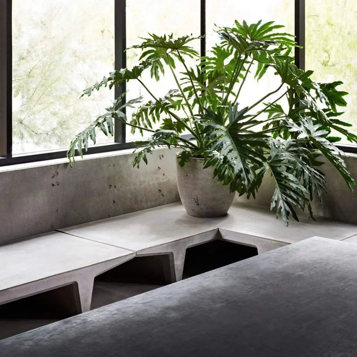 Concrete Finish Design Effect Walls for Kanye West's Studio-The Decora Company