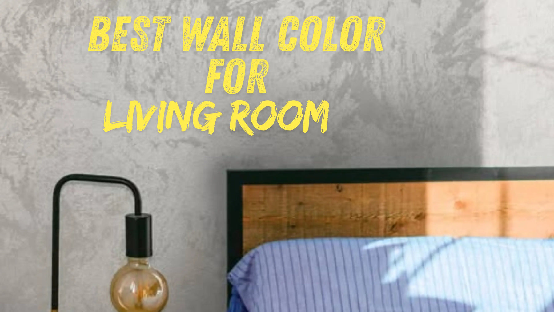 What Is the Best Wall Color for a Living Room in 2026? The Decora Company