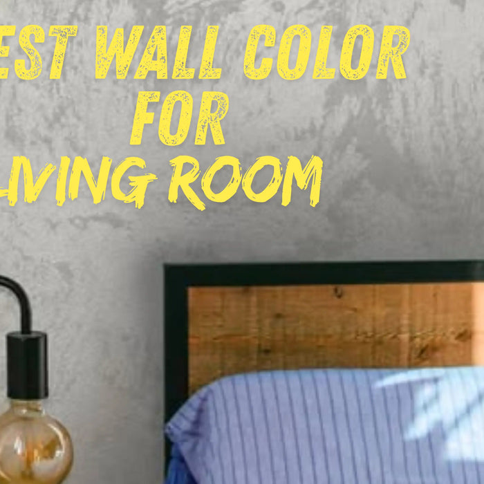 What Is the Best Wall Color for a Living Room in 2026? The Decora Company