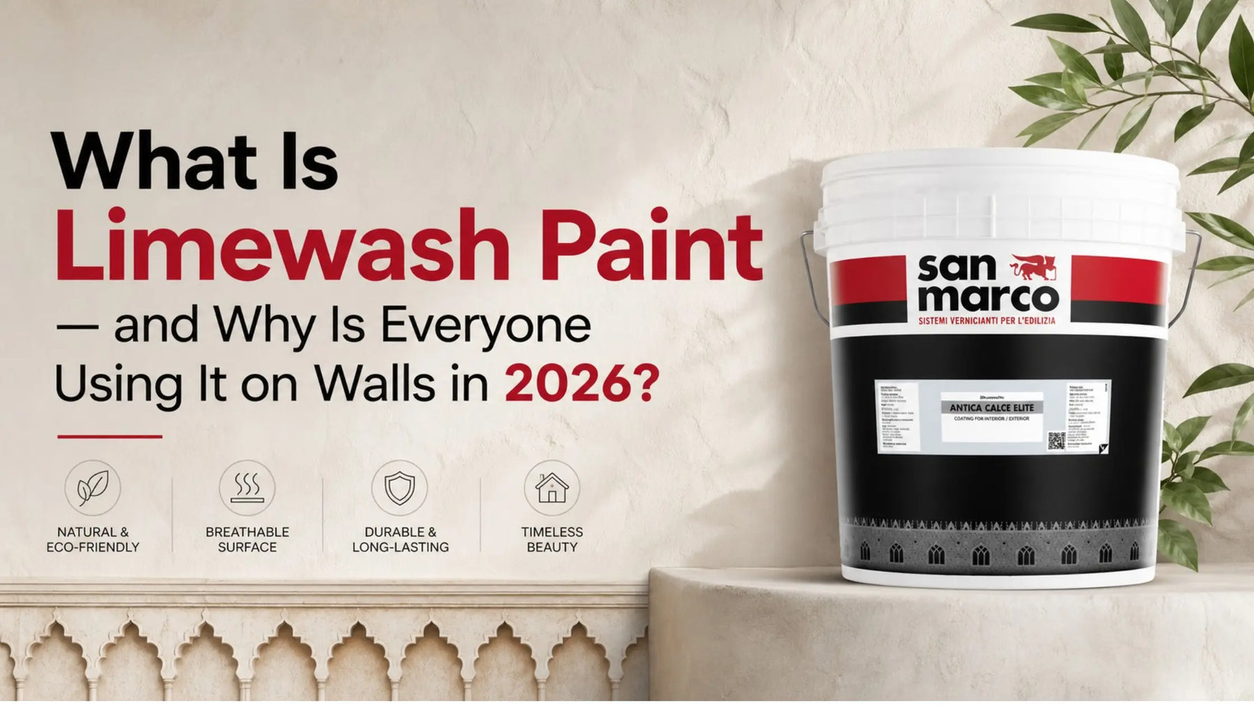 What is limewash paint and why is everyone using it on walls in 2026?