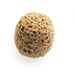 Pennelli Tigre Professional Round Synthetic Decorating Sponge - The Decora Company