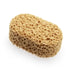 Pennelli Tigre Professional Rounded Corners Synth Sponge - The Decora Company